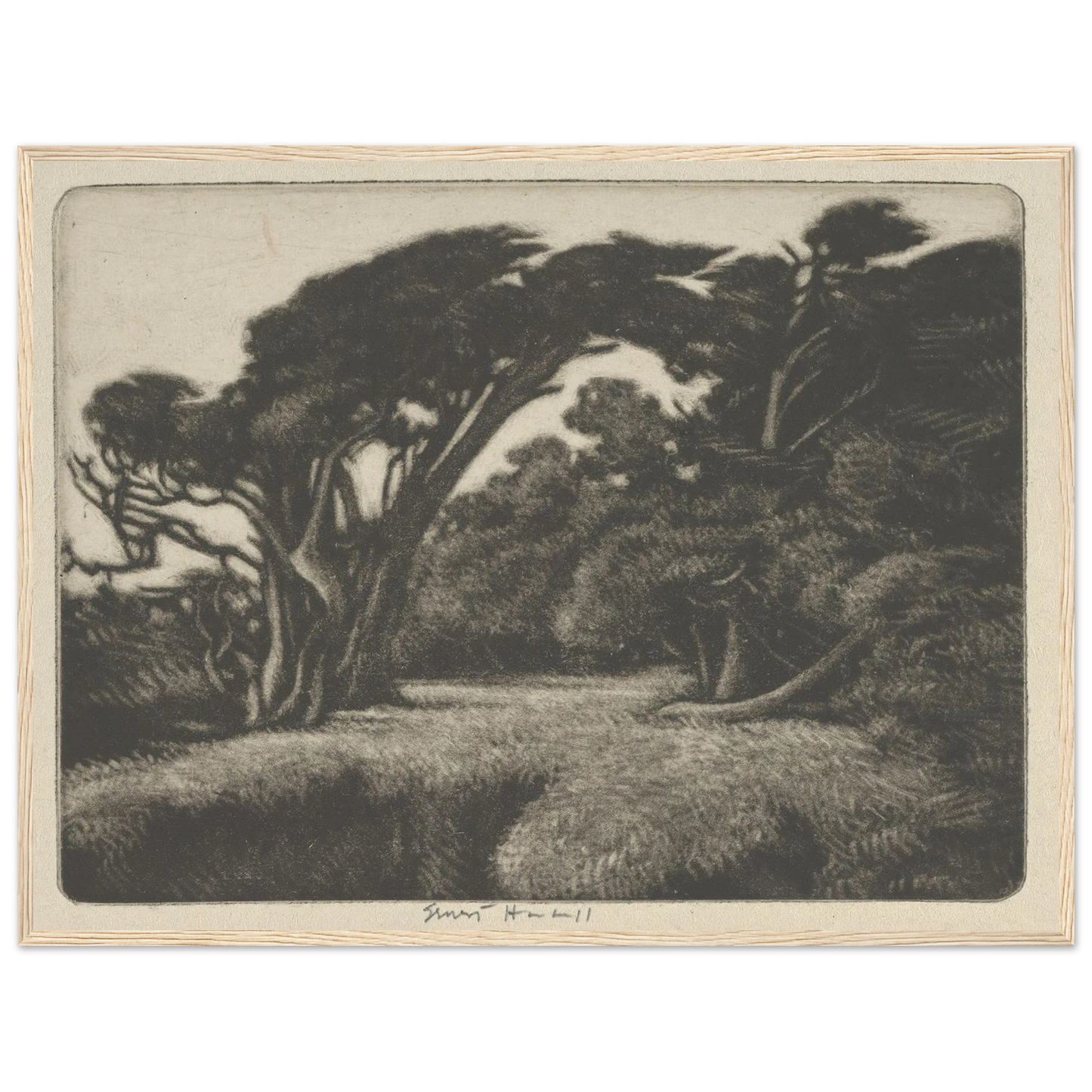 Cypress Bower (1920) Art Print | Ernest Haskell-Quipham Collections