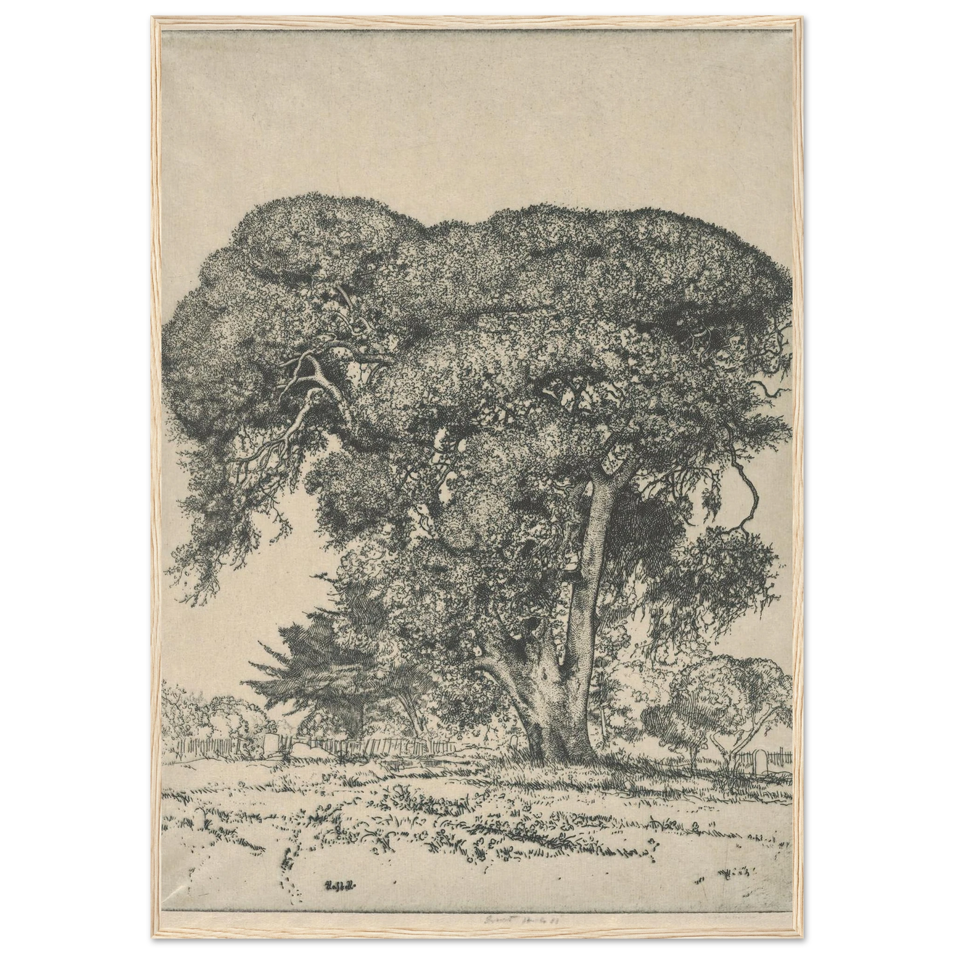 Cemetery Live Oak (1916) Art Print | Ernest Haskell-Quipham Collections