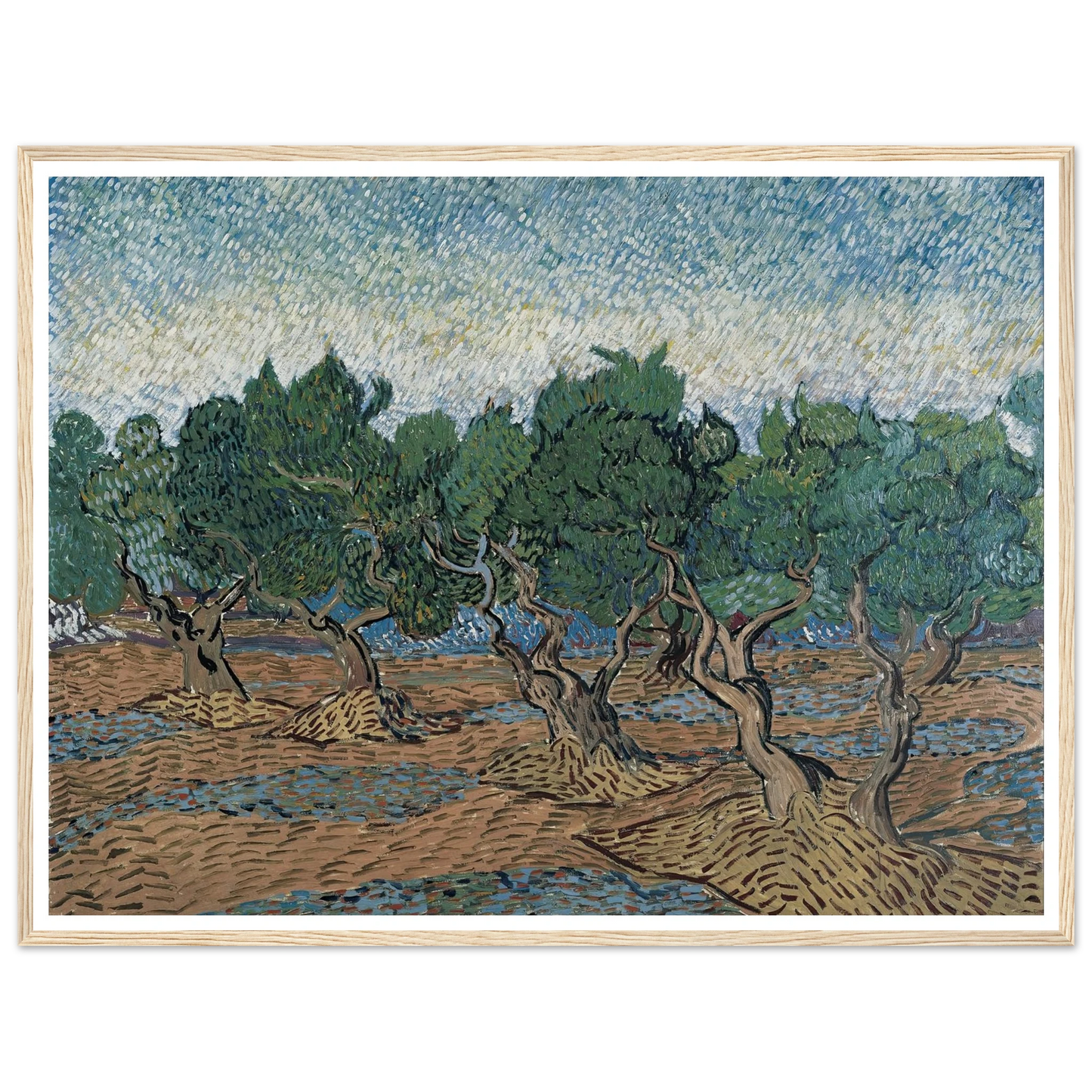 Olive grove Art Print | Vincent van Gogh-Quipham Collections