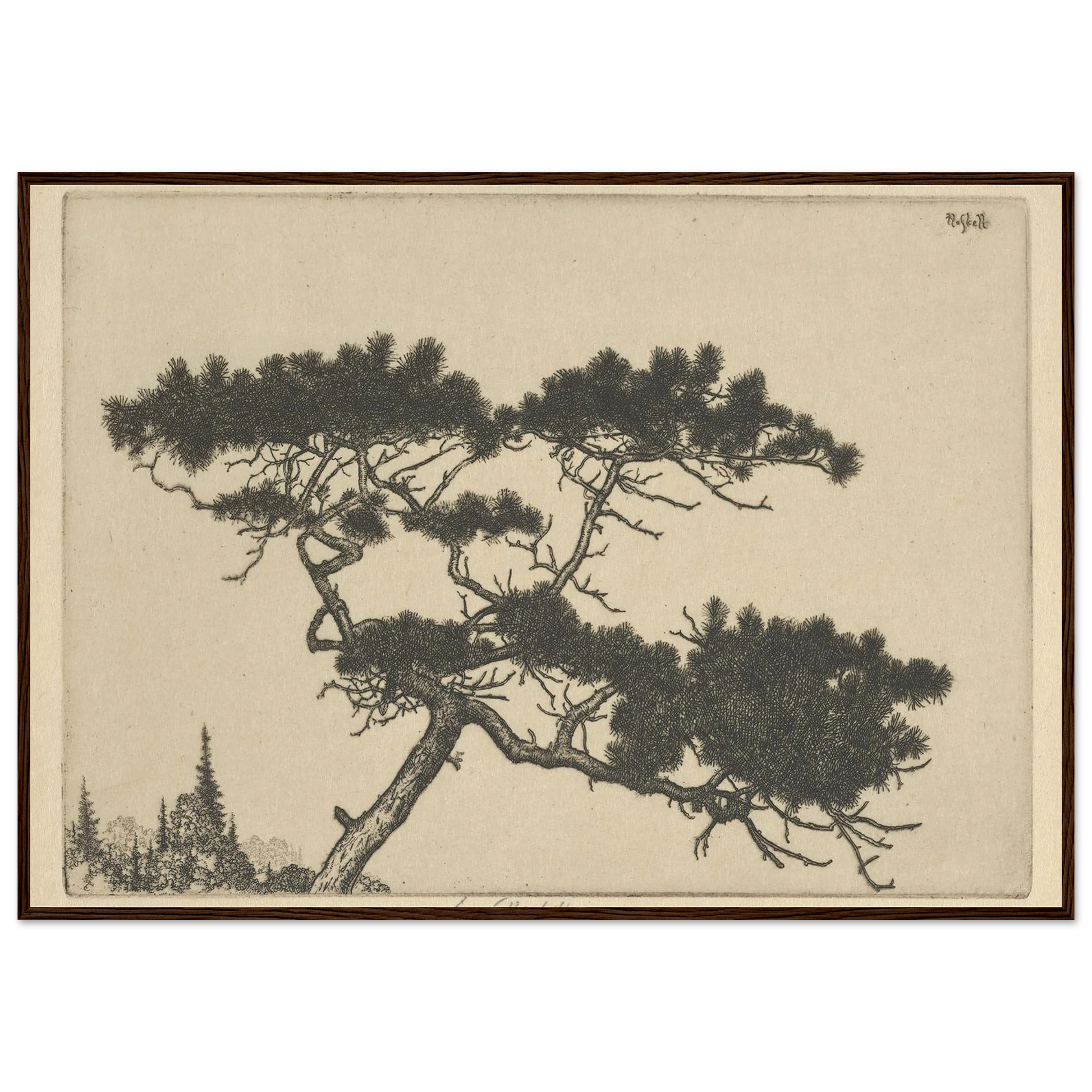 Crippled Pine (between 1900 and 1925) Art Print | Ernest Haskell-Quipham Collections