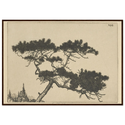 Crippled Pine (between 1900 and 1925) Art Print | Ernest Haskell-Quipham Collections