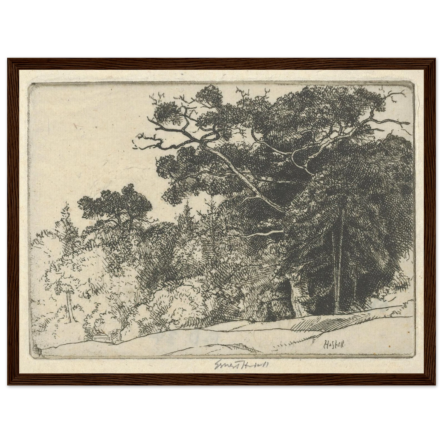 Brown’s Oak (probably 1910) Art Print | Ernest Haskell-Quipham Collections