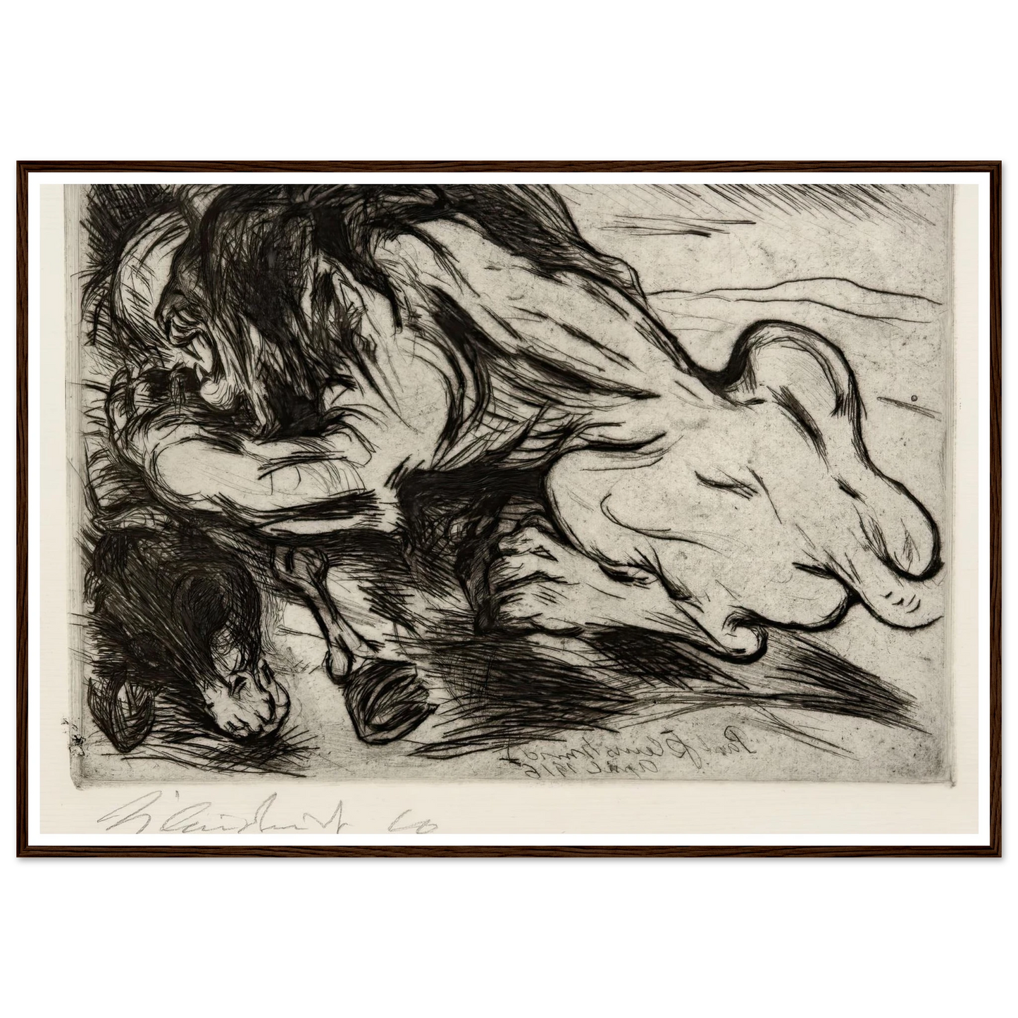 Ein Löwe reißt ein Zebu (1916) Art Print | Paul Kleinschmidt-Quipham Collections