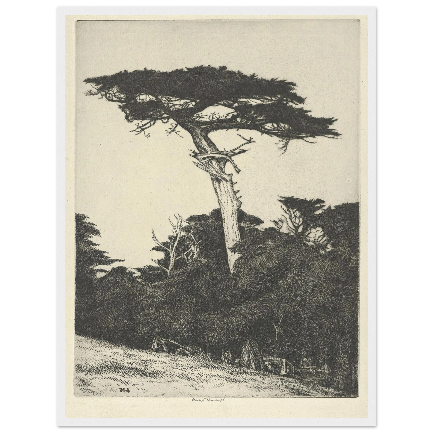 Dryad’s Parasol (1916-1922) Art Print | Ernest Haskell-Quipham Collections