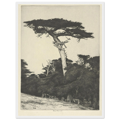 Dryad’s Parasol (1916-1922) Art Print | Ernest Haskell-Quipham Collections