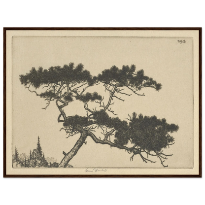 Crippled Pine (between 1900 and 1925) Art Print | Ernest Haskell-Quipham Collections