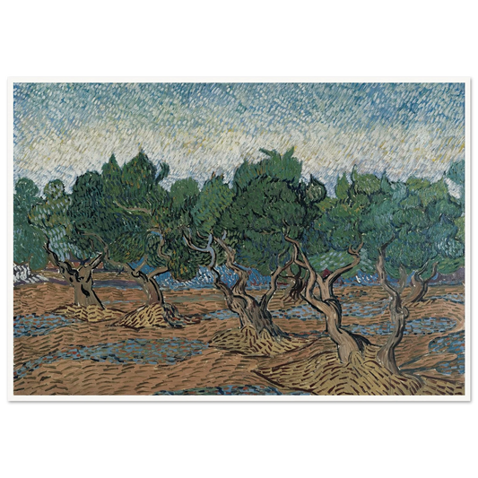 Olive grove Art Print | Vincent van Gogh-Quipham Collections