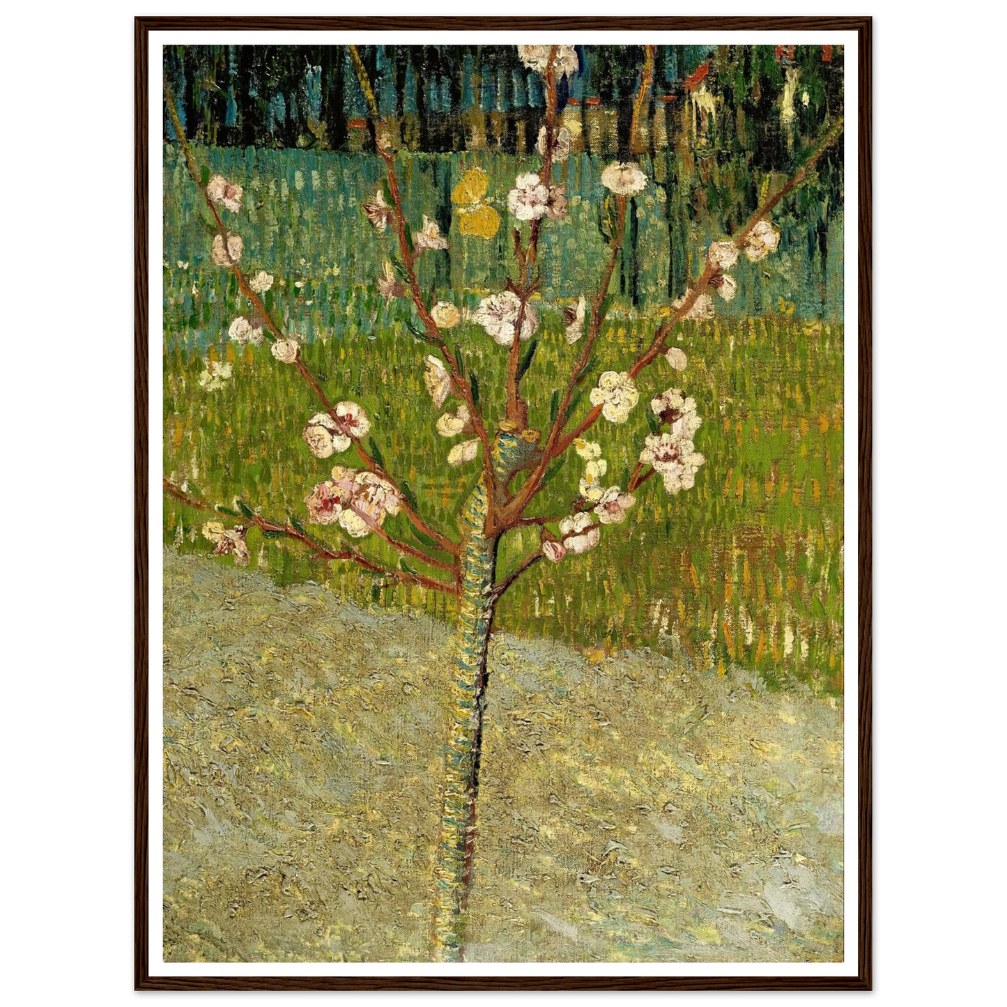 Almond tree in blossom Art Print | Vincent van Gogh-Quipham Collections