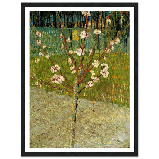 Almond tree in blossom Art Print | Vincent van Gogh - Framed Poster - 30x40 cm / 12x16″ - Black frame