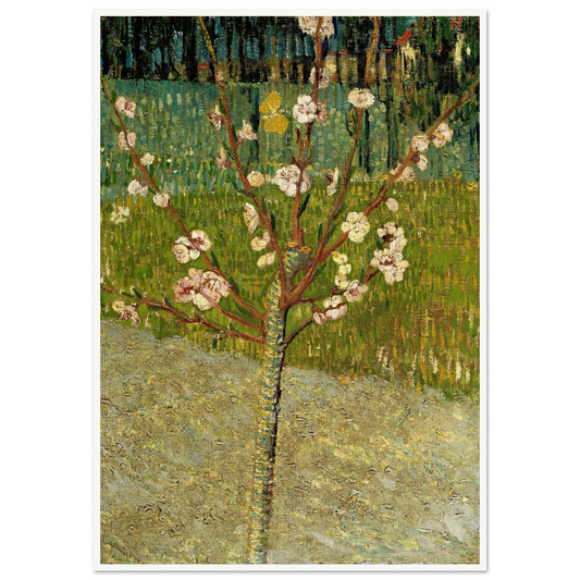 Almond tree in blossom Art Print | Vincent van Gogh - Framed Poster - 30x40 cm / 12x16″ - Black frame