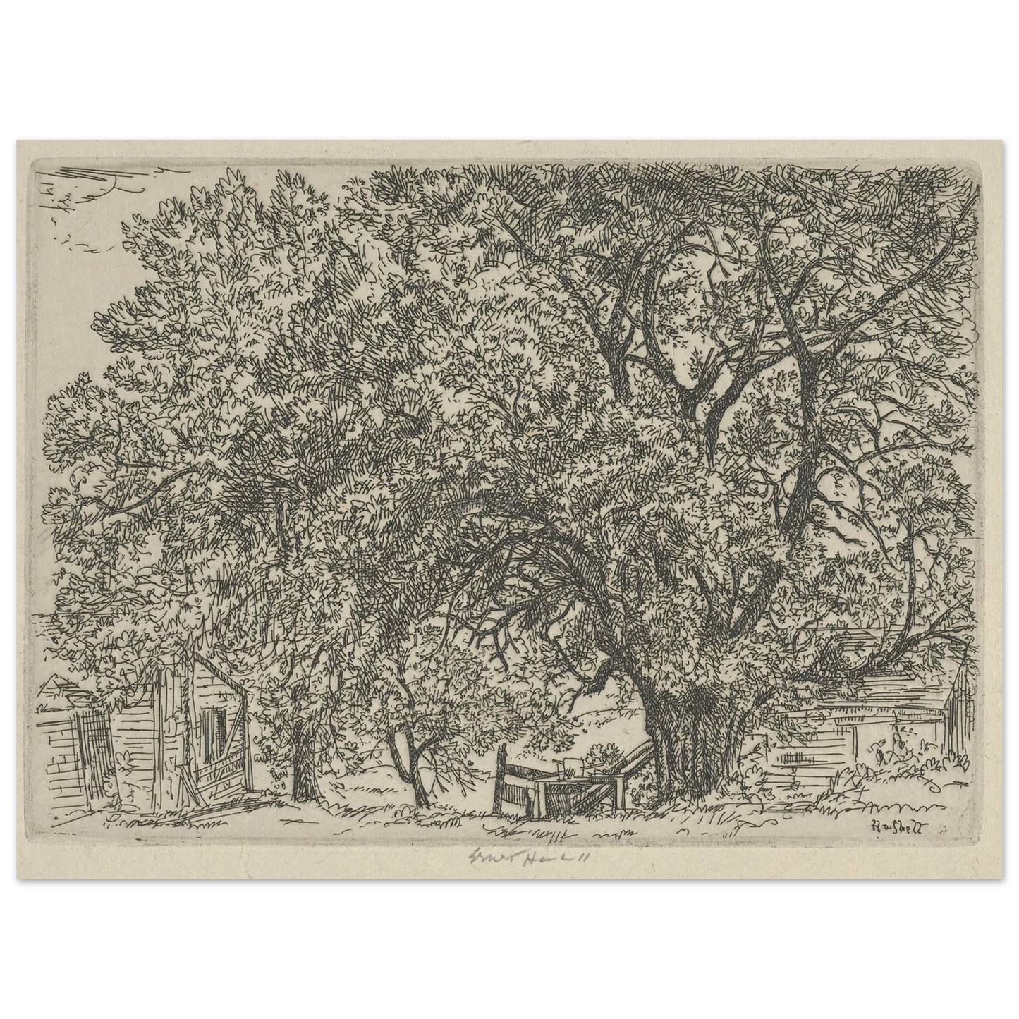 Alna Bower (1924) Art Print | Ernest Haskell - Framed Poster - 30x40 cm / 12x16″ - Black frame