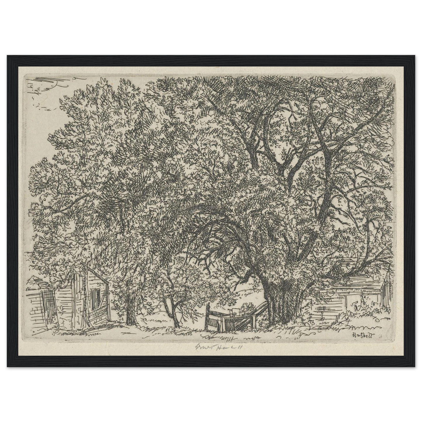 Alna Bower (1924) Art Print | Ernest Haskell - Framed Poster - 30x40 cm / 12x16″ - Black frame