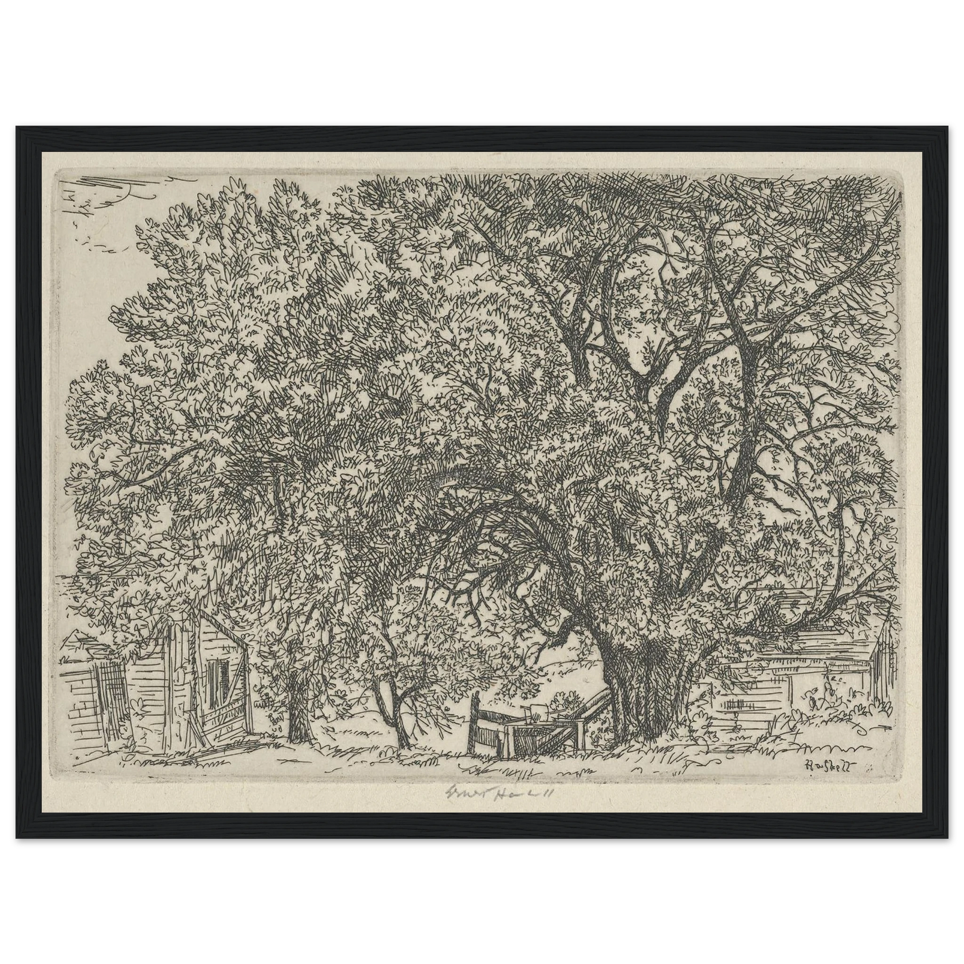 Alna Bower (1924) Art Print | Ernest Haskell - Framed Poster - 30x40 cm / 12x16″ - Black frame