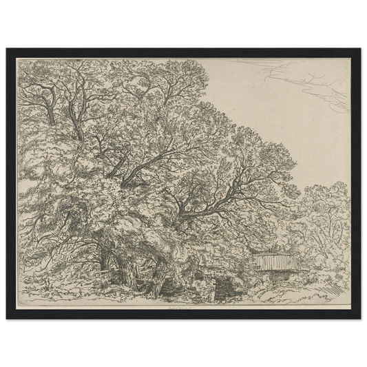 Alna Willows (1924) Art Print | Ernest Haskell - Framed Poster - 30x40 cm / 12x16″ - Black frame