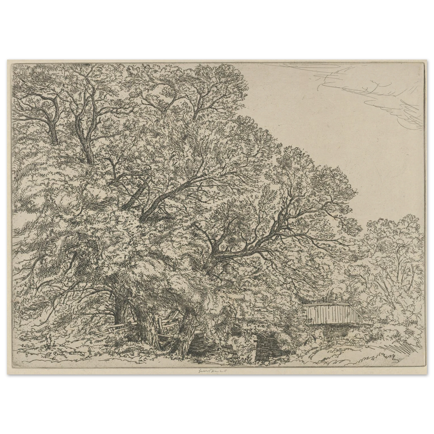 Alna Willows (1924) Art Print | Ernest Haskell - Framed Poster - 30x40 cm / 12x16″ - Black frame