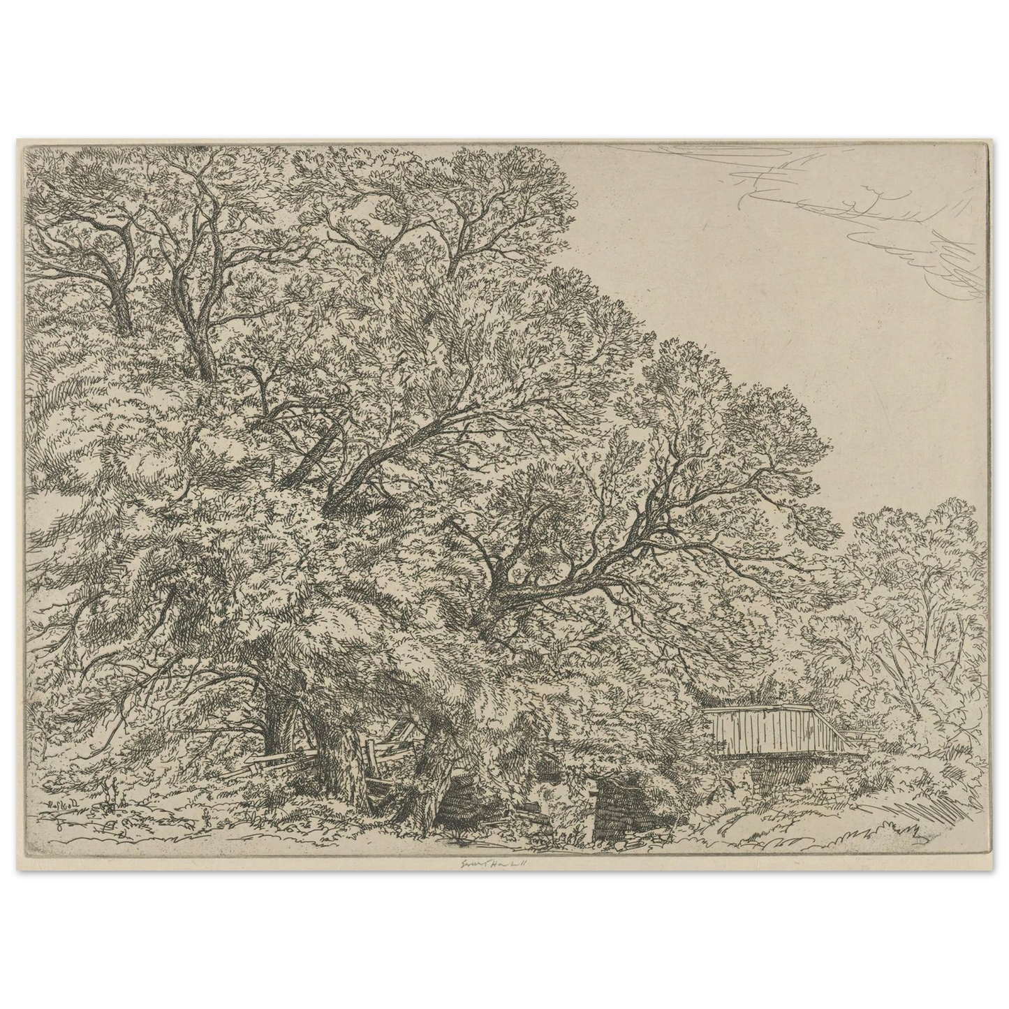 Alna Willows (1924) Art Print | Ernest Haskell - Framed Poster - 30x40 cm / 12x16″ - Black frame