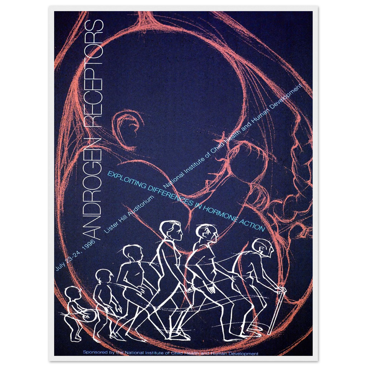 Androgen receptors; exploiting differences in hormone action (1996) Art Print | National Institutes of Health - Framed Poster - 30x40 cm / 12x16″ - Black frame