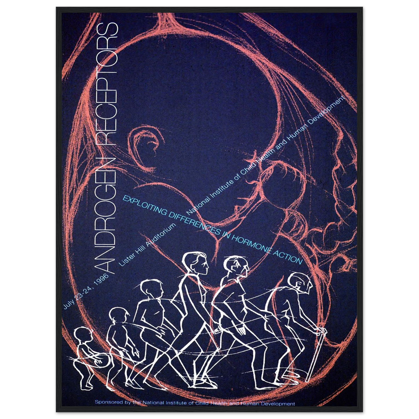 Androgen receptors; exploiting differences in hormone action (1996) Art Print | National Institutes of Health - Framed Poster - 30x40 cm / 12x16″ - Black frame