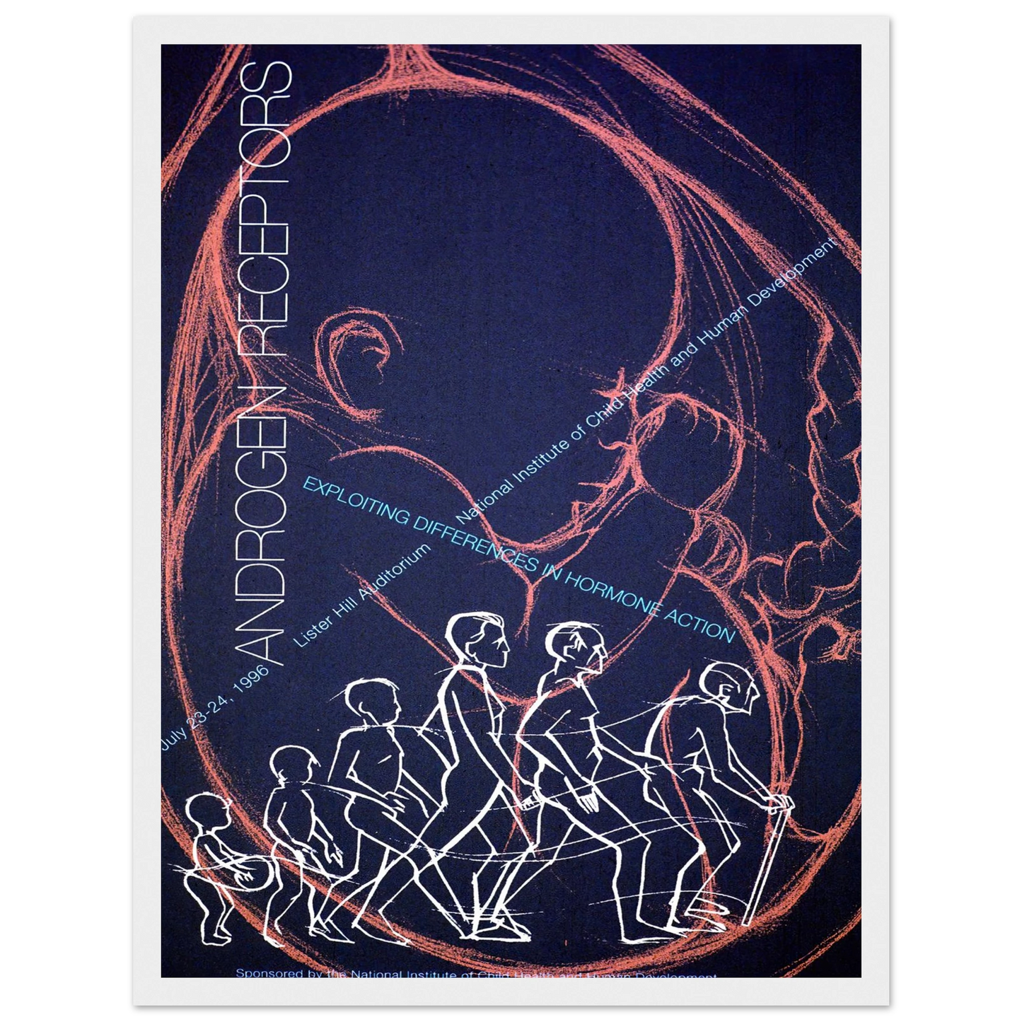 Androgen receptors; exploiting differences in hormone action (1996) Art Print | National Institutes of Health - Framed Poster - 30x40 cm / 12x16″ - Black frame