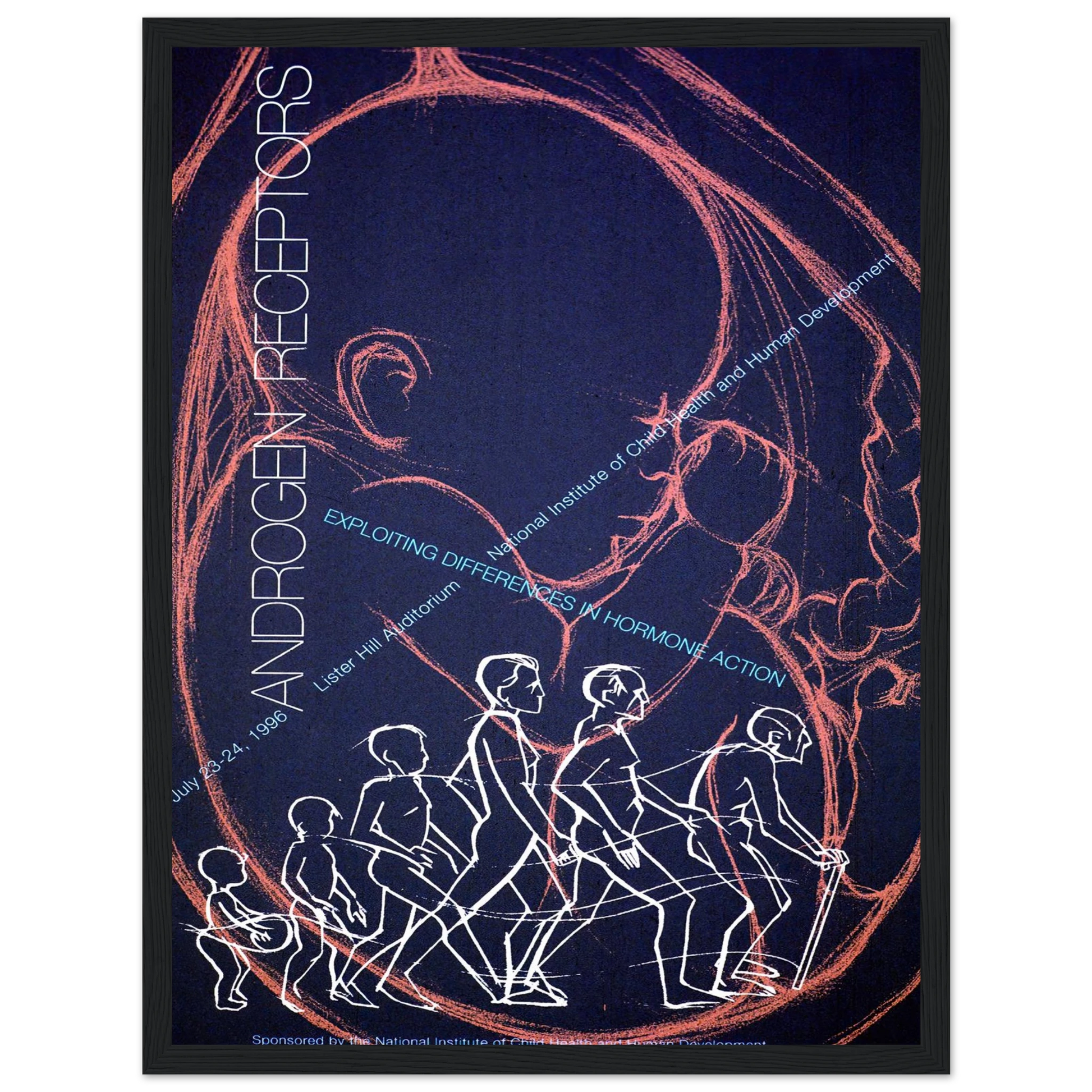 Androgen receptors; exploiting differences in hormone action (1996) Art Print | National Institutes of Health - Framed Poster - 30x40 cm / 12x16″ - Black frame