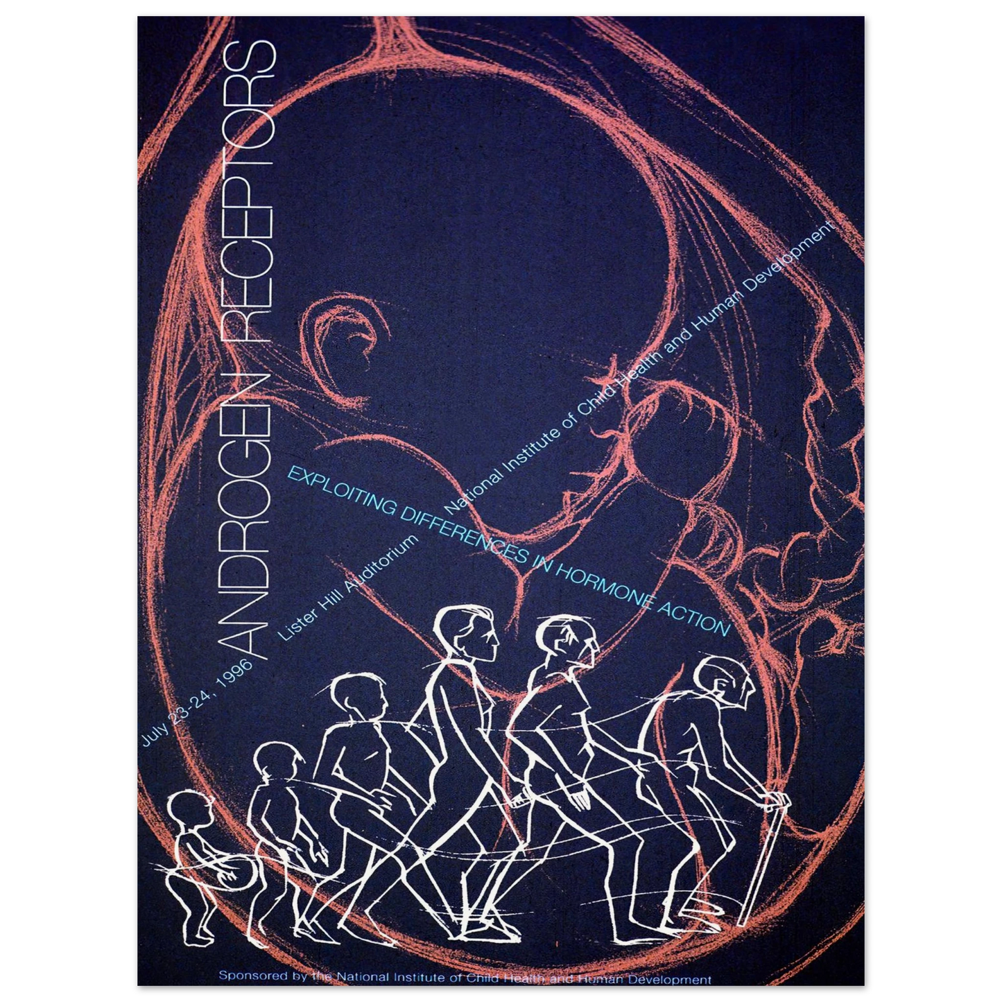 Androgen receptors; exploiting differences in hormone action (1996) Art Print | National Institutes of Health - Framed Poster - 30x40 cm / 12x16″ - Black frame