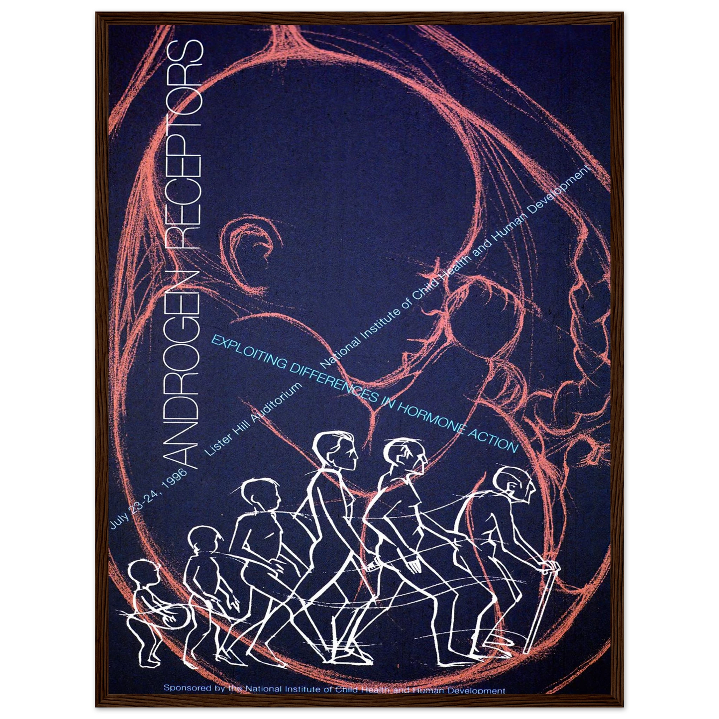 Androgen receptors; exploiting differences in hormone action (1996) Art Print | National Institutes of Health - Framed Poster - 30x40 cm / 12x16″ - Black frame