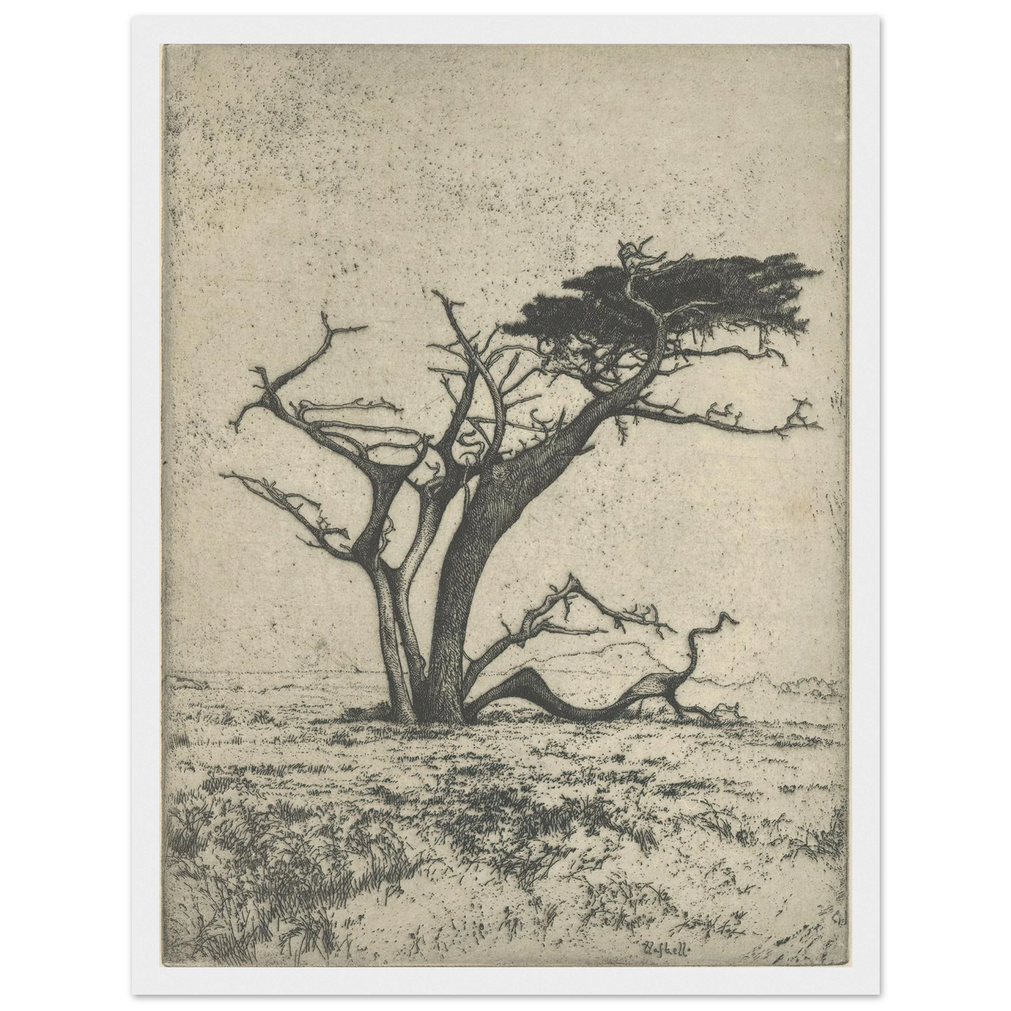 Antlers (1915) Art Print | Ernest Haskell - Framed Poster - 30x40 cm / 12x16″ - Black frame