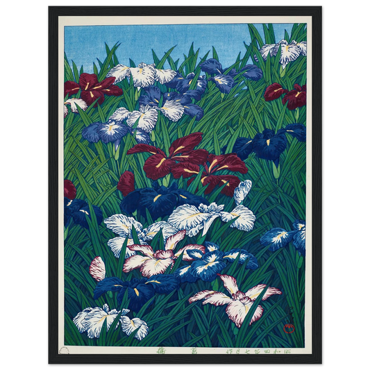 Ayame (Iris) (1929) Art Print | Kawase Hasui - Framed Poster - 30x40 cm / 12x16″ - Black frame