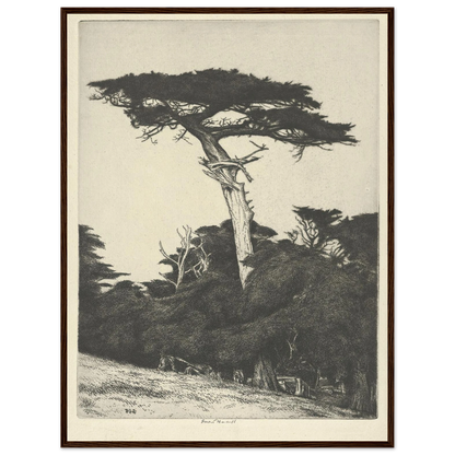 Dryad’s Parasol (1916-1922) Art Print | Ernest Haskell-Quipham Collections