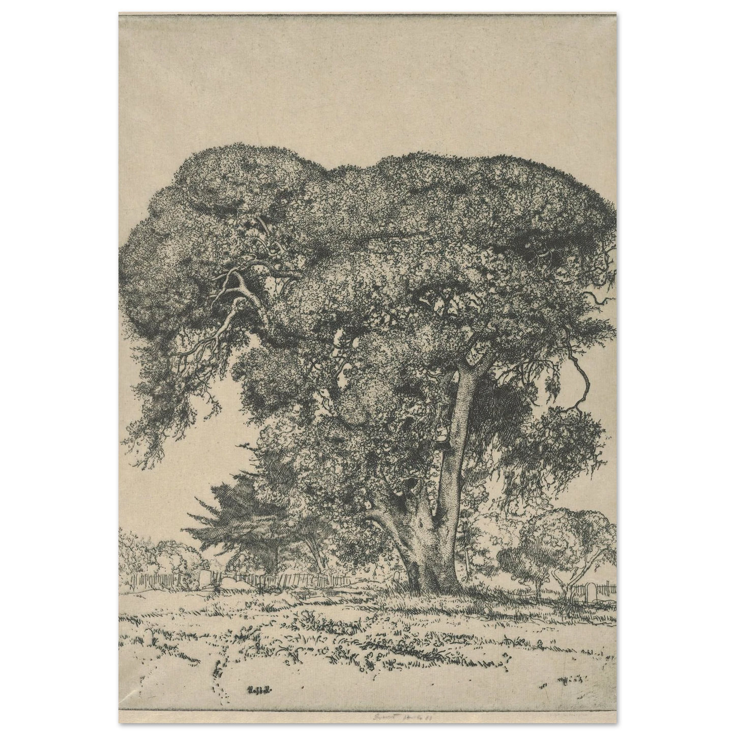 Cemetery Live Oak (1916) Art Print | Ernest Haskell-Quipham Collections