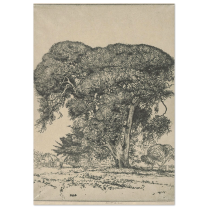Cemetery Live Oak (1916) Art Print | Ernest Haskell-Quipham Collections