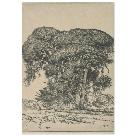 Cemetery Live Oak (1916) Art Print | Ernest Haskell-Quipham Collections