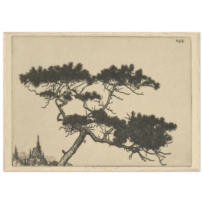 Crippled Pine (between 1900 and 1925) Art Print | Ernest Haskell-Quipham Collections