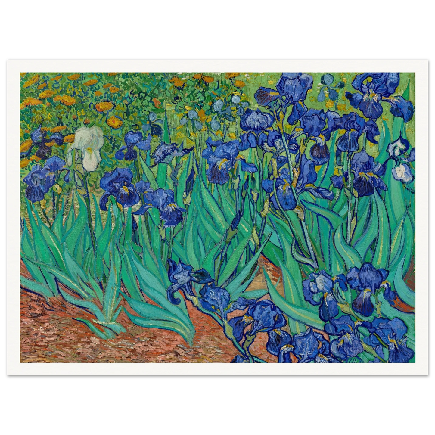 Irises (1889) Art Print | Vincent van Gogh-Quipham Collections