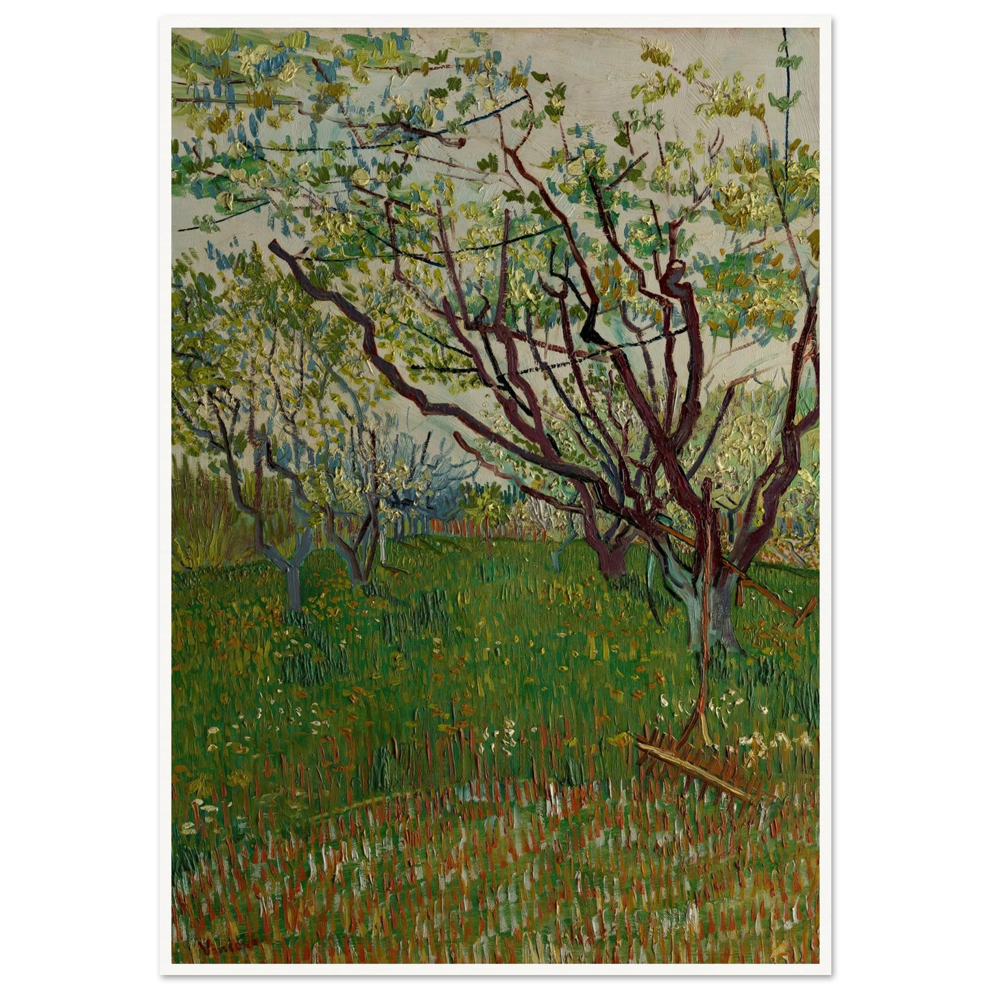 The Flowering Orchard (1888) Art Print | Vincent van Gogh-Quipham Collections