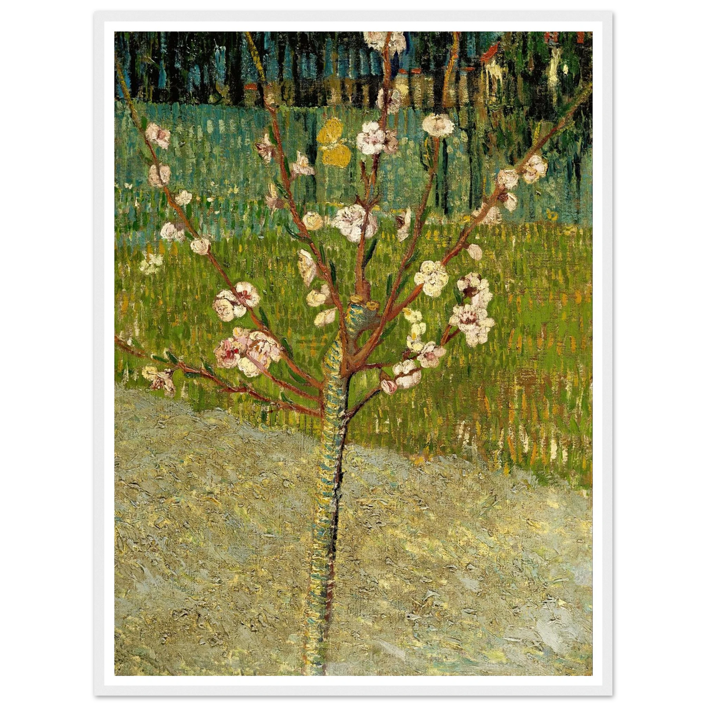 Almond tree in blossom Art Print | Vincent van Gogh-Quipham Collections