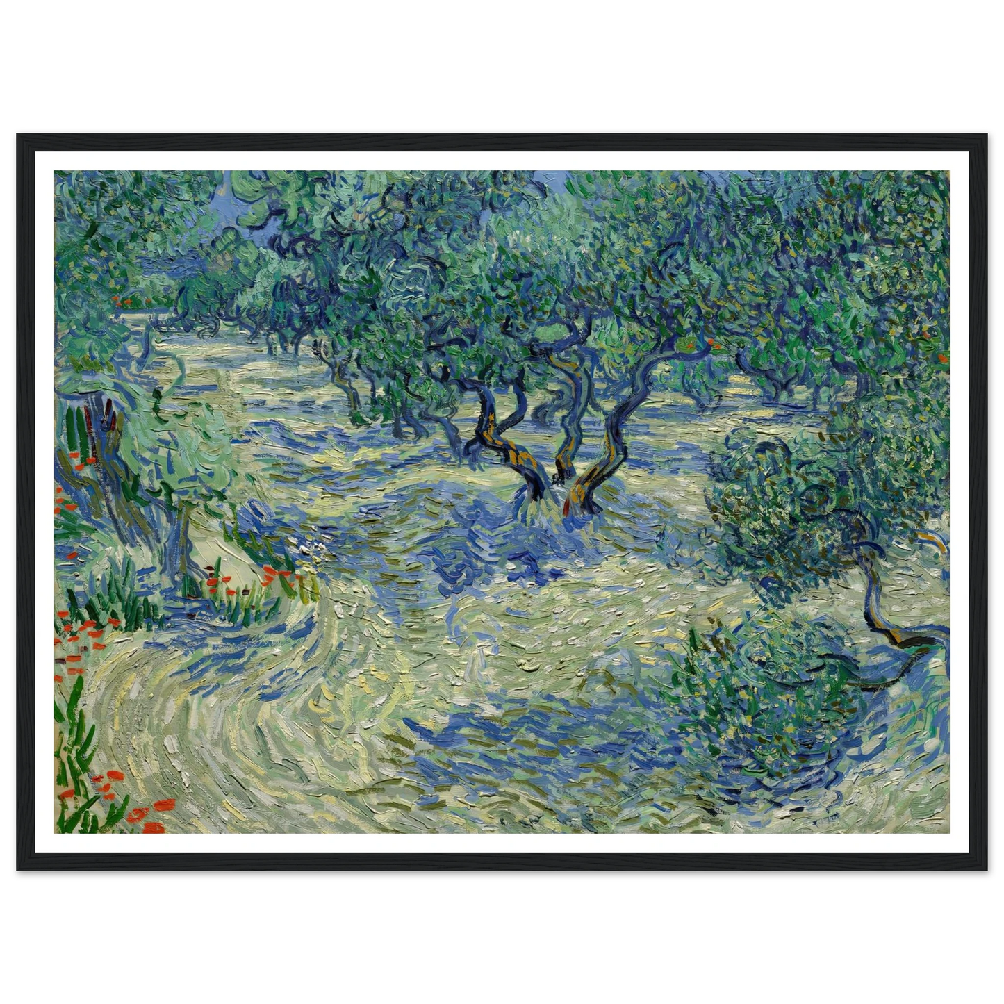 Olive Orchard Art Print | Vincent van Gogh-Quipham Collections