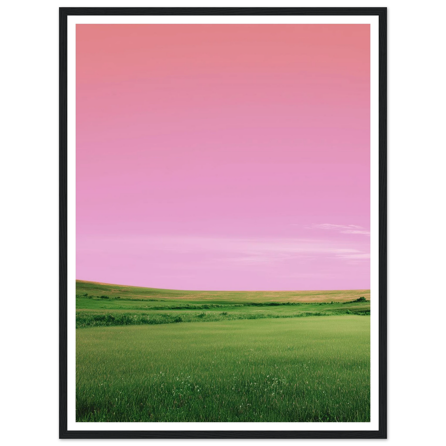 b897ae5a-9437-4ece-b371-9a33bcdc1762