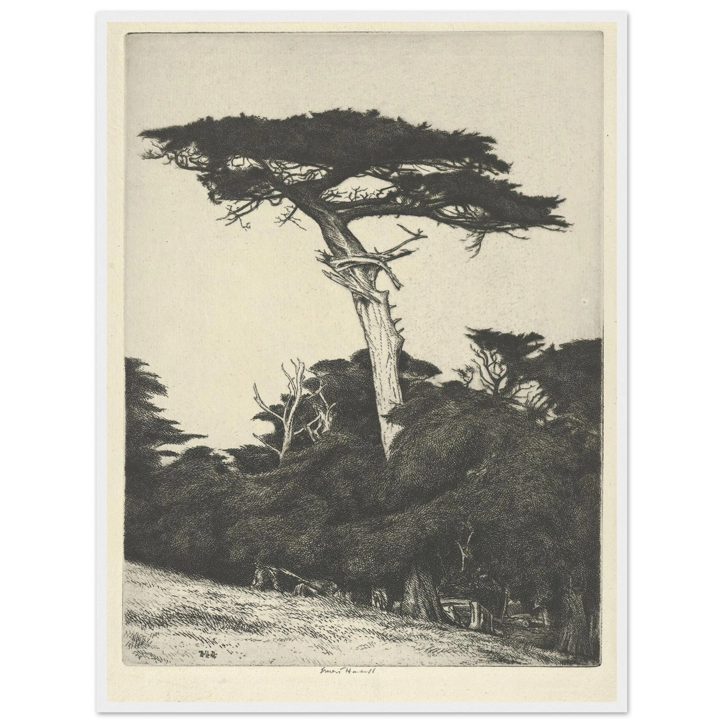 Dryad’s Parasol (1916-1922) Art Print | Ernest Haskell-Quipham Collections