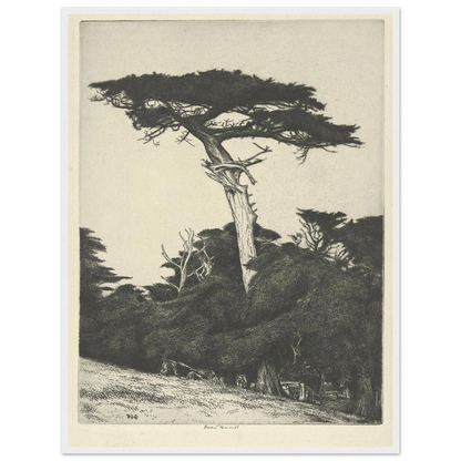 Dryad’s Parasol (1916-1922) Art Print | Ernest Haskell-Quipham Collections