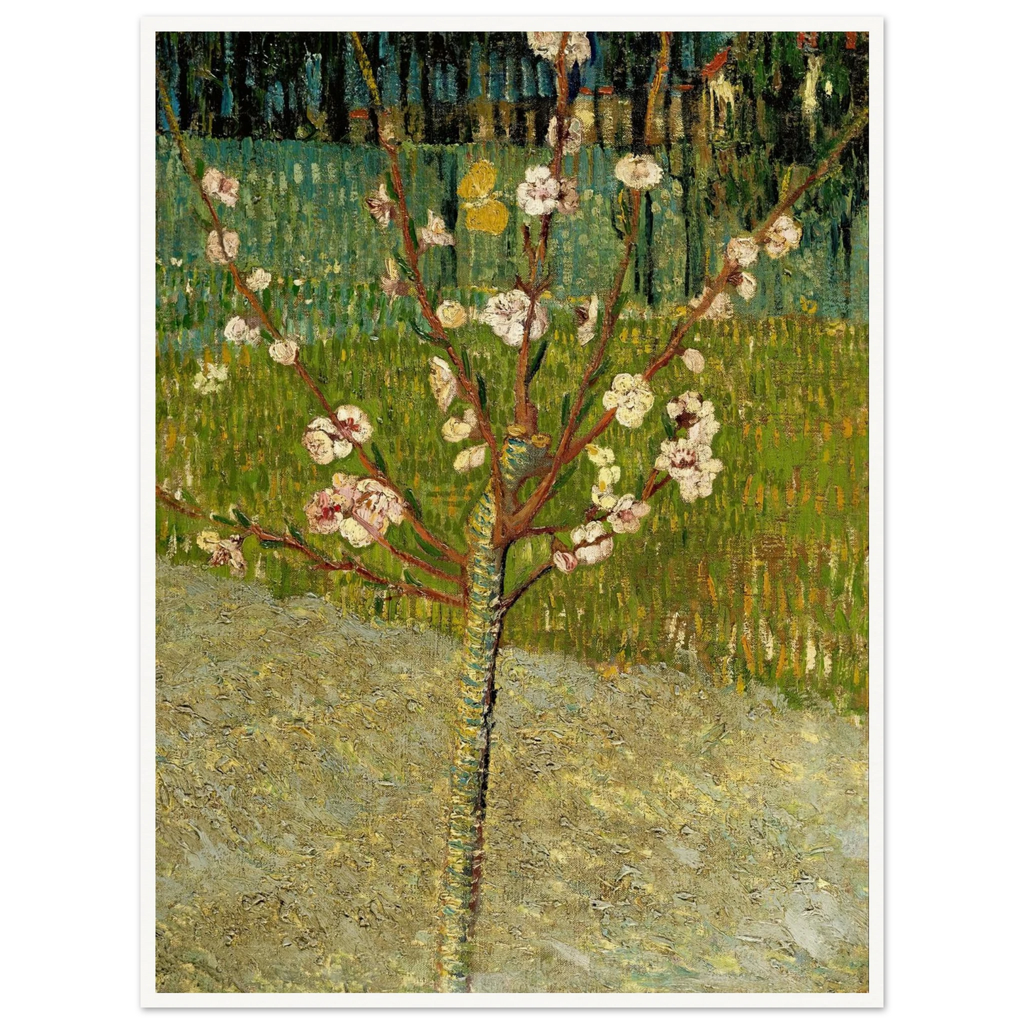 Almond tree in blossom Art Print | Vincent van Gogh-Quipham Collections