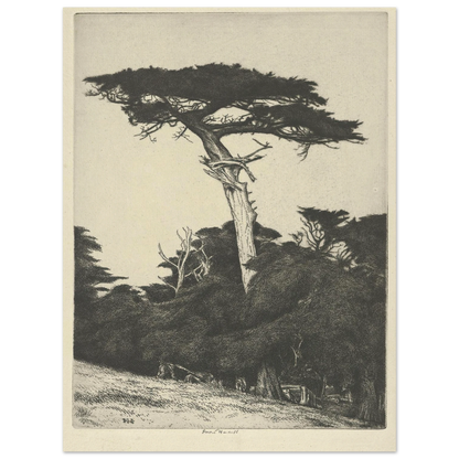 Dryad’s Parasol (1916-1922) Art Print | Ernest Haskell-Quipham Collections