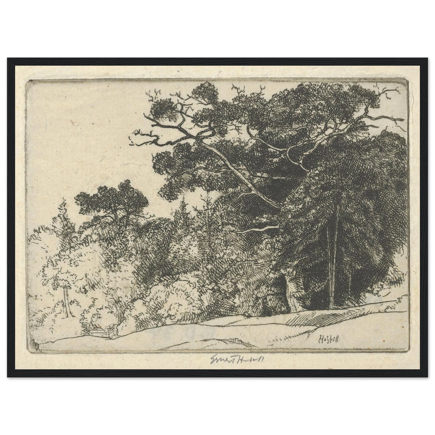 Brown’s Oak (probably 1910) Art Print | Ernest Haskell-Quipham Collections