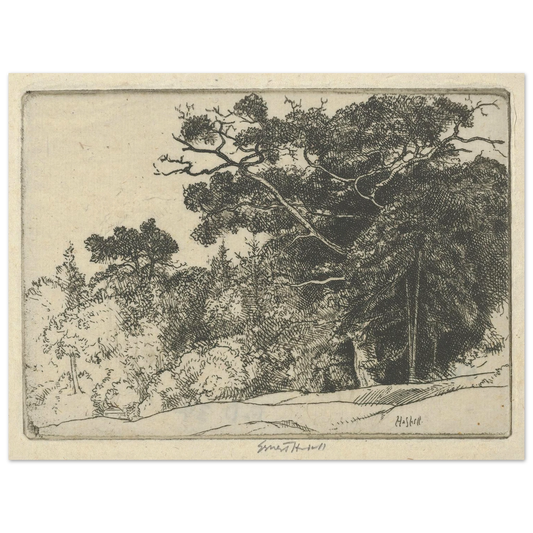 Brown’s Oak (probably 1910) Art Print | Ernest Haskell - Framed Poster - 30x40 cm / 12x16″ - Black frame