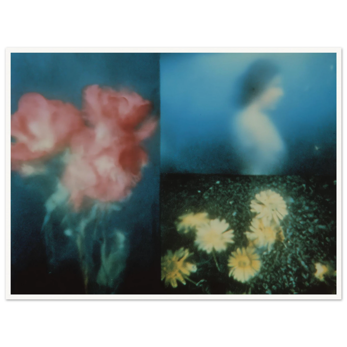 c0698b71-da25-450c-915b-7302bf4fad23