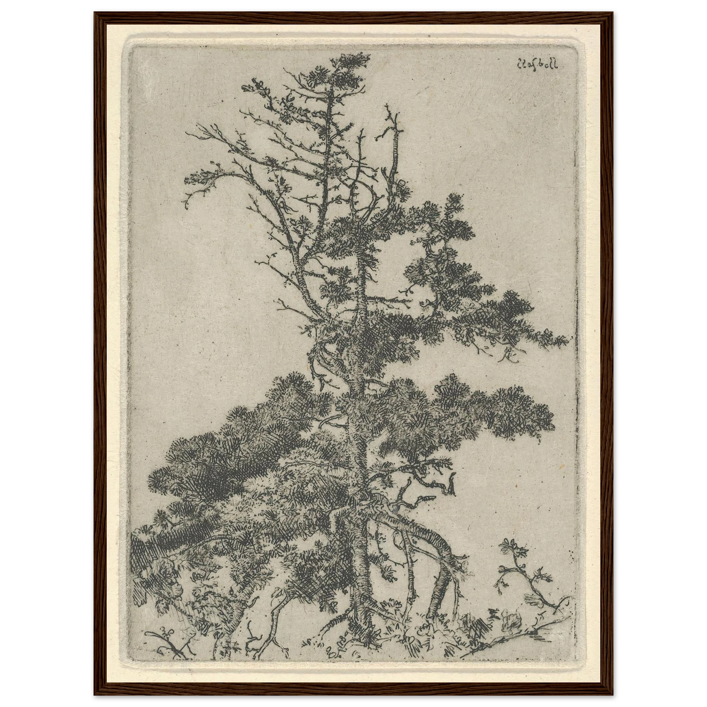 Tree Top (1900-1925) Art Print | Ernest Haskell-Quipham Collections