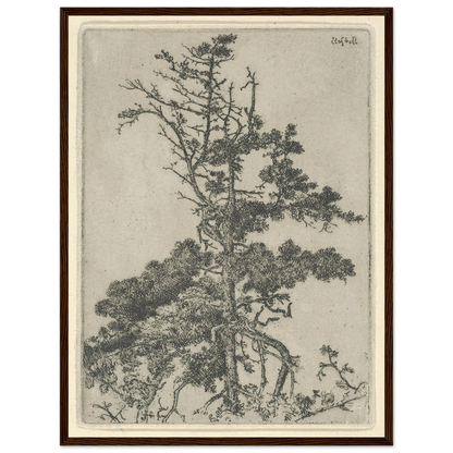 Tree Top (1900-1925) Art Print | Ernest Haskell-Quipham Collections