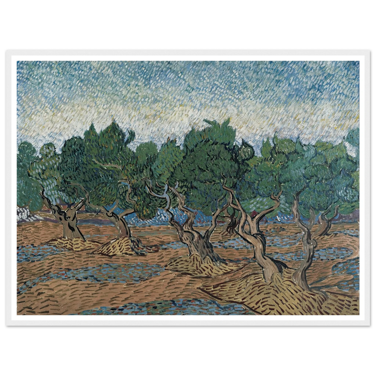 Olive grove Art Print | Vincent van Gogh-Quipham Collections