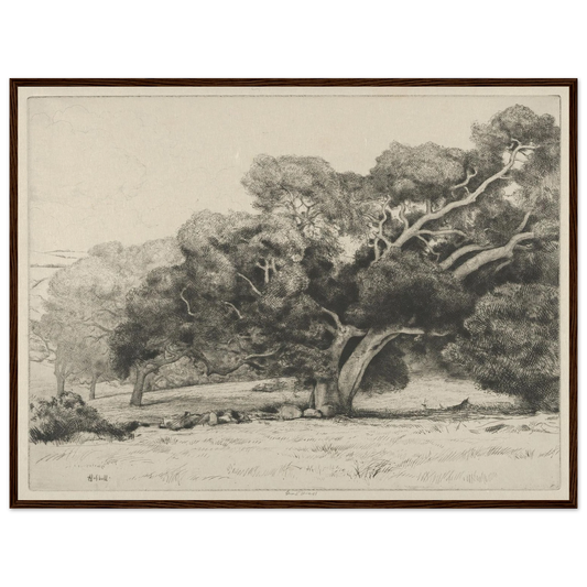 Large Live Oak (1915-1925) Art Print | Ernest Haskell - Framed Poster - 30x40 cm / 12x16″ - Black frame