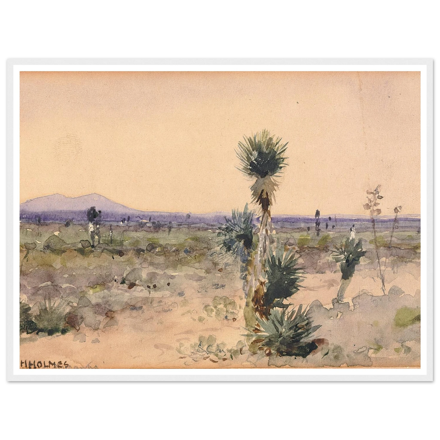 Yuccaland–Chihuahua, Mexico Art Print | William Henry Holmes-Quipham Collections